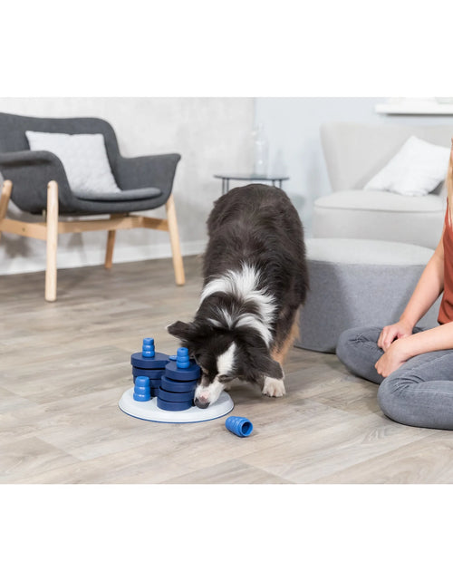 Load image into Gallery viewer, Dog Activity Chess Strategy Game, Level 3, Advanced Dog Puzzle Toy, Treat Dispenser
