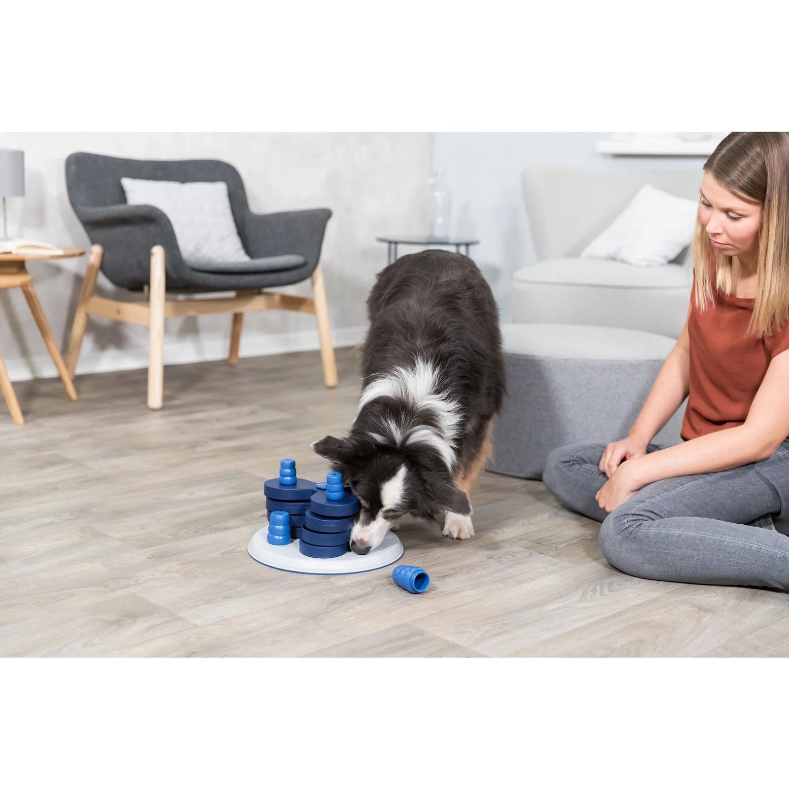 Dog Activity Chess Strategy Game, Level 3, Advanced Dog Puzzle Toy, Treat Dispenser