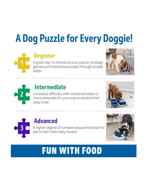 Load image into Gallery viewer, Dog Activity Chess Strategy Game, Level 3, Advanced Dog Puzzle Toy, Treat Dispenser
