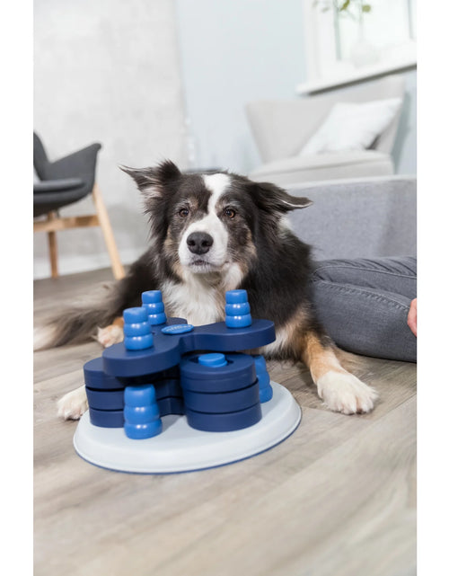 Load image into Gallery viewer, Dog Activity Chess Strategy Game, Level 3, Advanced Dog Puzzle Toy, Treat Dispenser
