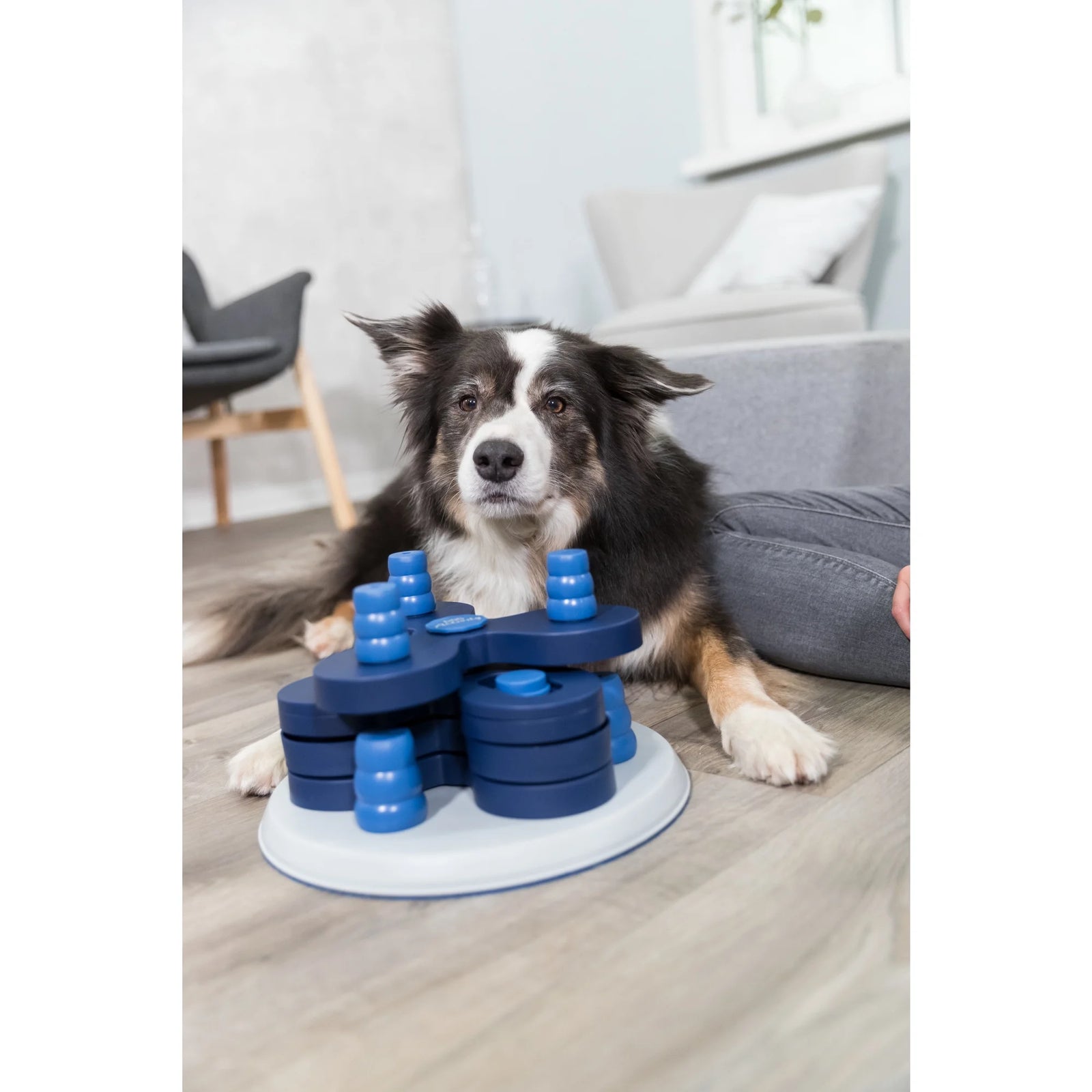Dog Activity Chess Strategy Game, Level 3, Advanced Dog Puzzle Toy, Treat Dispenser